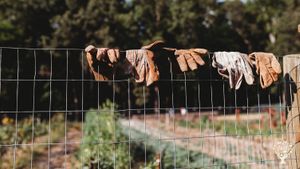 We work in our three market gardens more frequently than anywhere else. Long, hard, beautiful days