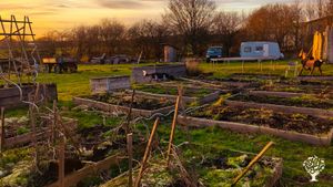 Familie betreibt Resthofprojekt mit Gemüsegarten, Sägewerk und Imkerei