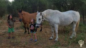 Mis hijos y sus caballos