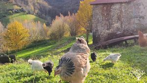 Ferme familiale dans le piémont pyrénéen
