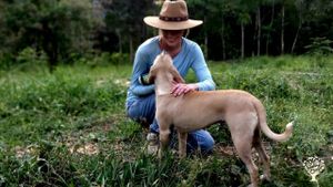 Let's Grow Trees: Reforestation, Community Activities + Organic Permaculture Farm + Tea & Coffee