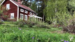 In summer we let the grass grow outside our house. But there is still a lot of weeding to do.