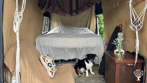 Kozmo in the van while I prepare for the next woofer