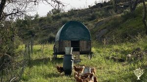 Regenerative Organic farm