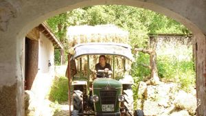 Family home and garden - rural, Agritourism Destination, Homestead, Eco Lodge/Wilderness Adventur…