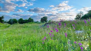 Carpenter & researcher couple with a self-sufficient farm, animals, garden, forest & cozy guest stay