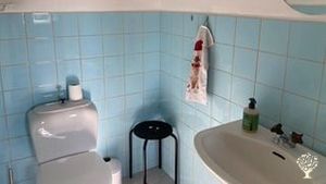 Organic Farm Start-Up. Cultivation, Anthroposophy, and Gluten-Free Baking