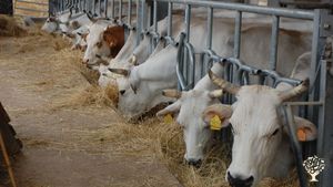 Fattoria non professionale, Allevamento bovini, Allevamento di bestiame, Frutteto, Azienda agricola