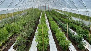 Small-scale market garden and agroecological centre