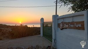 Family home and garden - rural, Agritourism Destination, Family farm, Olive grove, Hobby Farm