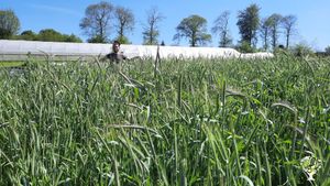 Ferme maraichère bio sur sol vivant, vergers et rénovation écologique des bâtiments