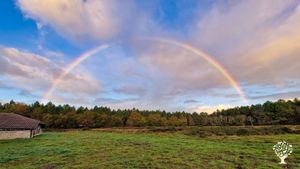 Écolieu en construction en pleine forêt landaise,permaculture