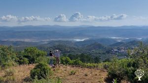 View from the very top (on 700m msl).