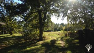 Ferme biologique en Sud Gironde