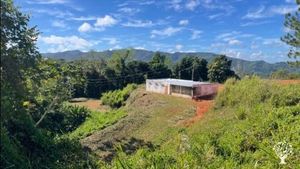 Small scale permaculture farm with budding sustainability and agriculture focused community.