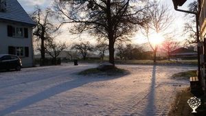Garden - rural, Livestock Farm, Orchard, Mixed Farm, Farm, Woodlot, Family farm, Kühe