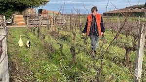 Maraîchage diversifié en agroécologie, MSV, bio, beefriendly dans un château viticole