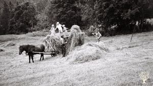 Haymaking 2022