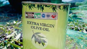 Pick olives, watch the olives become oil in the mill, take home