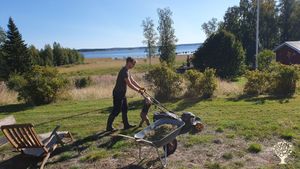 A family vegetable garden and an old house under the Baltic midnight sun