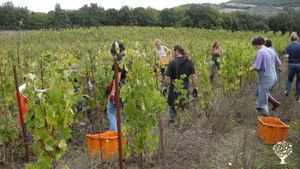 Azienda agricola biologica