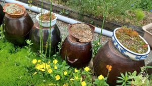 <GN101>강변의 아름다운 석양이  함께합니다 / The Beautiful Sunset by the Riverside Accompanies You