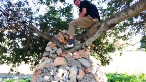 Siamo  Dino ed Helene, abbiamo una proprietà nella piana dei cugni ,vicino a cavagrande,Siracusa