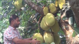 It is a multipurpose Agro & Fish Farm located in Feni. 135 KM From Dhaka towards Southeast