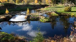Flower grower, tree nursery, woodland, house and garden