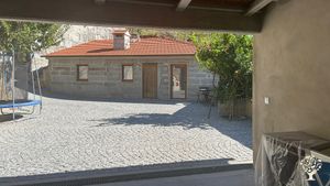 Small organic farm in northern Portugal developing an olive grove