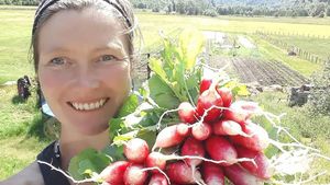 My first harvest in the markedgarden. 