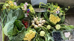 3 acre diversified fruit and vegetable production, orchard, 8 acre prairie reconstruction