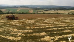 Demeterhof in der Vulkaneifel