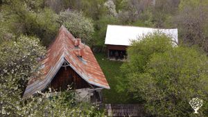 Organic Living and Farming at the base of the Bucegi Mountains, Glamping, Camping & 1 Semiroom