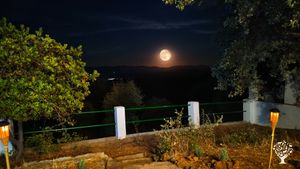 Valdenueces – Finca Agroecológica Silvopastoril en Sierra Morena  Valdenueces es un proyecto familia