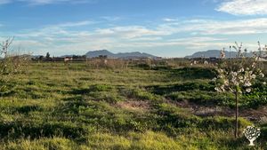 Proyecto agro-cultural y restauración ecosistemas