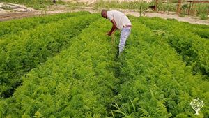 Tony Agri Farm is a diversified agricultural enterprise engaged in vegetable production, dairy milk