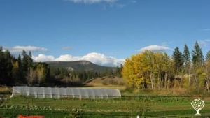 Family home and garden - rural, Market Garden, Farm