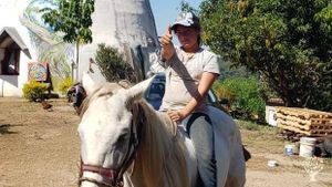 Sustainable ecoturism property with organic gardens, animals, and passion for ecological practices.