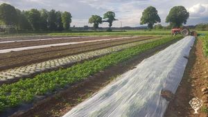 Maraîchage bio sur petite surface et poulailler mobile