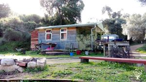 Verger familial méditerranéen