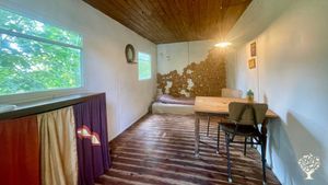 Intentional eco community with home life, permaculture and self development as key pillars