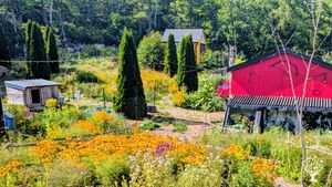 Lakefront Oasis in Nova Scotia countryside