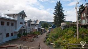 Experience life on a small plant nursery & grow vegetables in beautiful Seldovia, Alaska