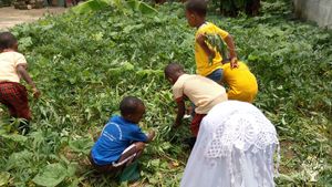 Organic Farm at Kigamboni Nearby Indian Ocean - Dar es Salaam