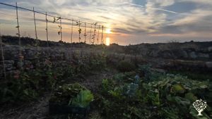 SITO IN PERMACULTURA, con focus in orticoltura e agroforestazione