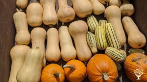 Intentional community of 12-ish young-ish people in Lebanon, New Hampshire