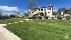 Giovane azienda agricola, animali da cortile, orto, giardino e tanta natura!