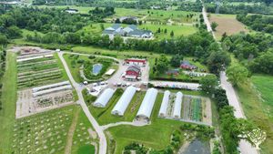 Real Organic Permaculture Food Forest Farm in Michigan Countryside