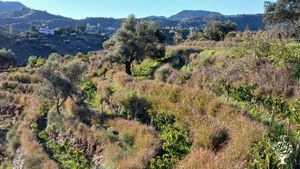 Ein abgelegener Ort der Ruhe in den wunderschönen Bergen östlich von Malaga